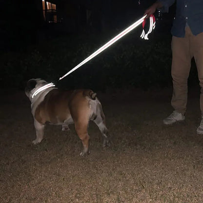Premium Reflective Pet Walking Leash