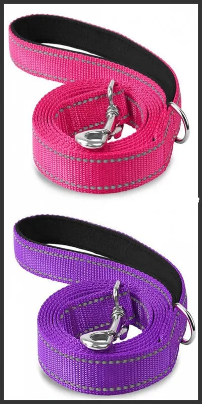 Premium Reflective Pet Walking Leash