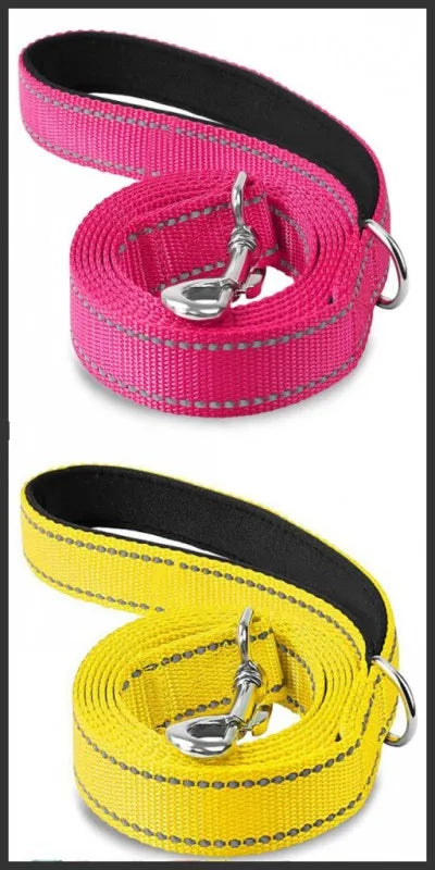 Premium Reflective Pet Walking Leash