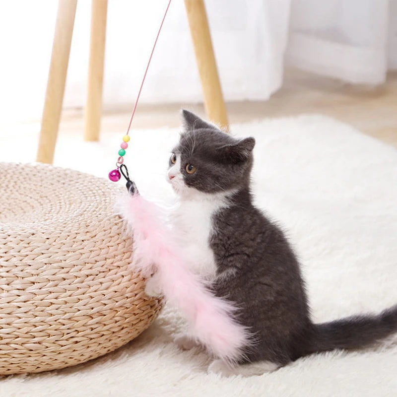 Interactive Cat Play Fun Pole