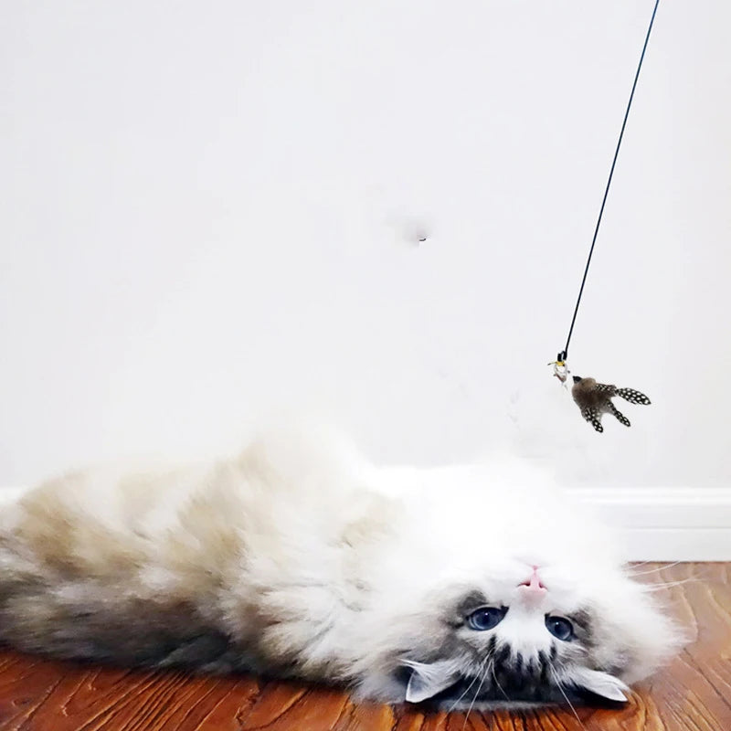 Interactive Cat Play Fun Pole
