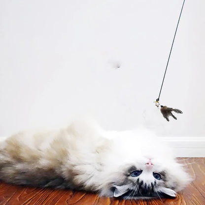 Interactive Cat Play Fun Pole