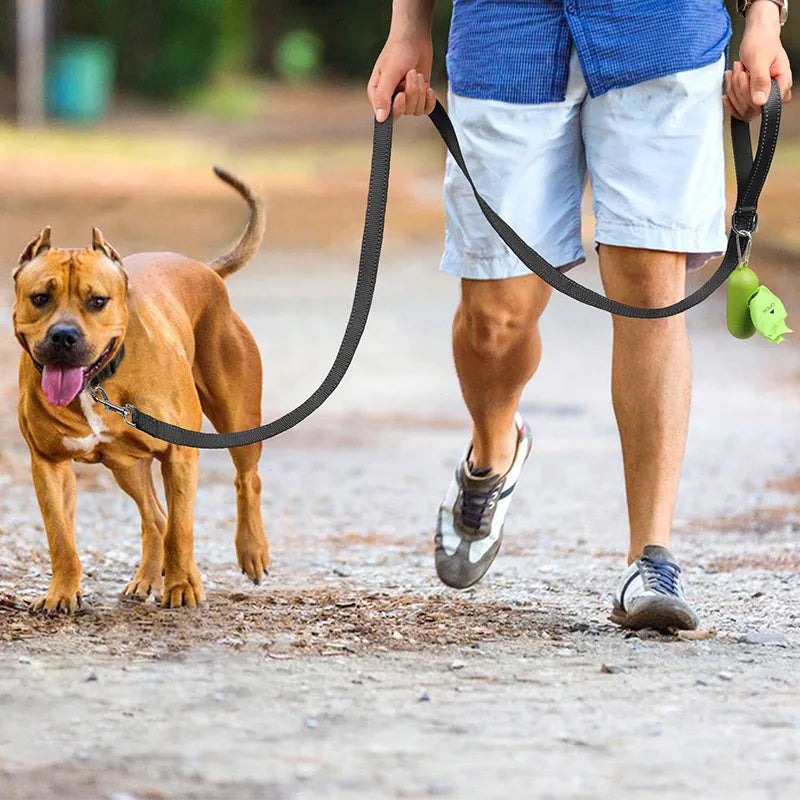 Premium Reflective Pet Walking Leash
