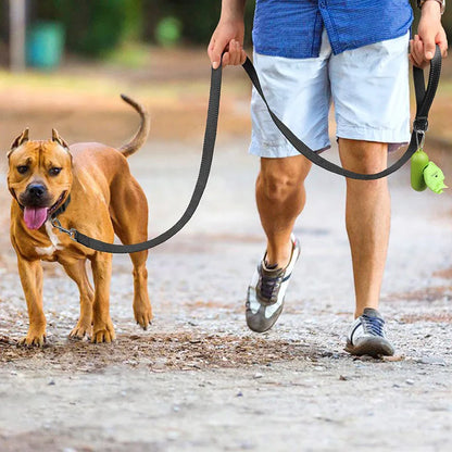 Premium Reflective Pet Walking Leash
